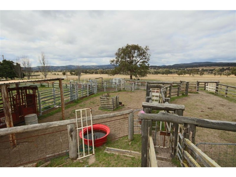 264 Carrot Farm Road, Deepwater NSW 2371