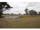 264 Carrot Farm Road, Deepwater NSW 2371