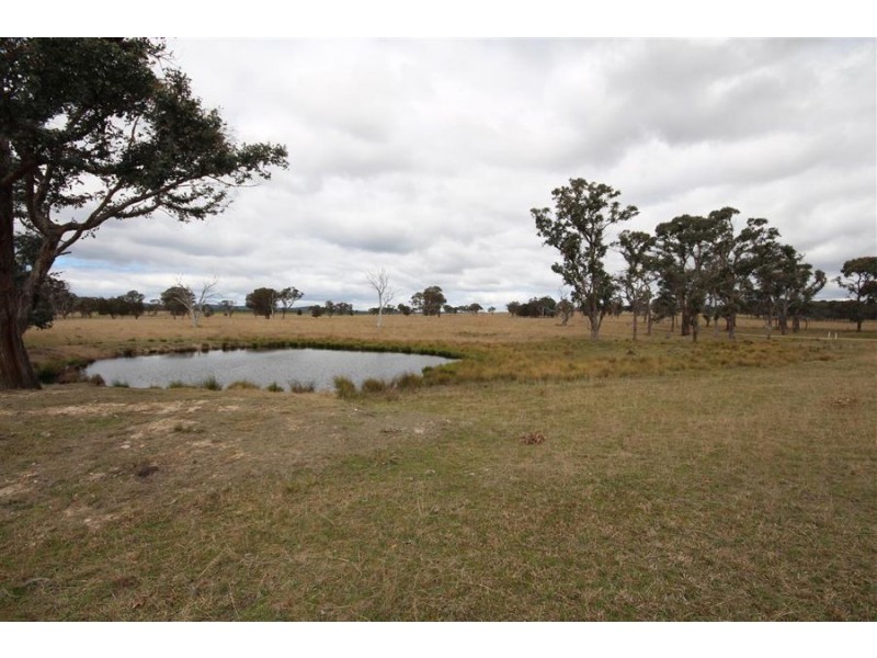 264 Carrot Farm Road, Deepwater NSW 2371