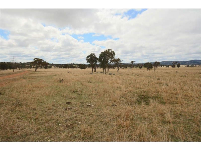 264 Carrot Farm Road, Deepwater NSW 2371