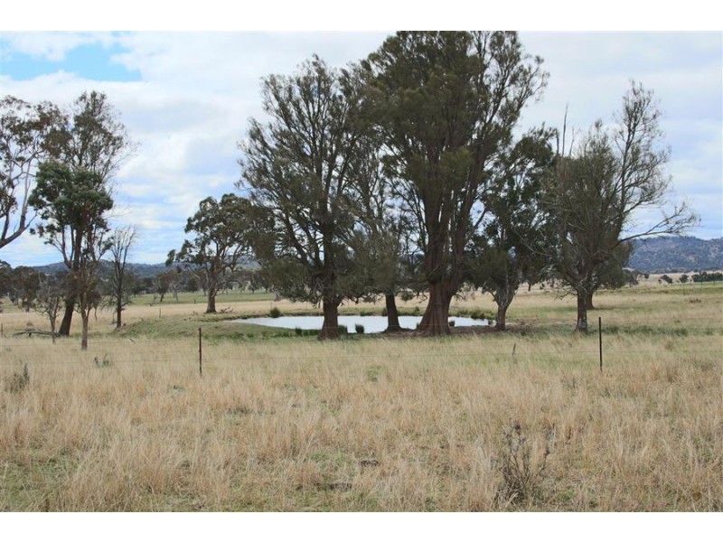 264 Carrot Farm Road, Deepwater NSW 2371