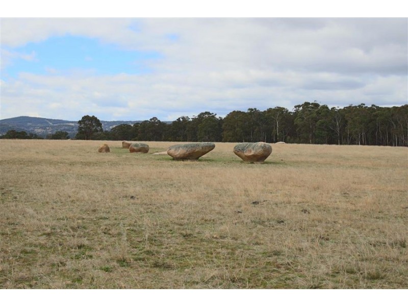 264 Carrot Farm Road, Deepwater NSW 2371