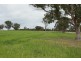 264 Carrot Farm Road, Deepwater NSW 2371