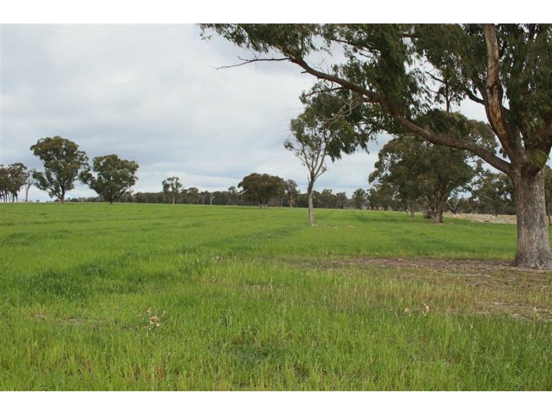 264 Carrot Farm Road, Deepwater NSW 2371