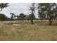 264 Carrot Farm Road, Deepwater NSW 2371