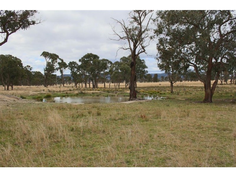 264 Carrot Farm Road, Deepwater NSW 2371