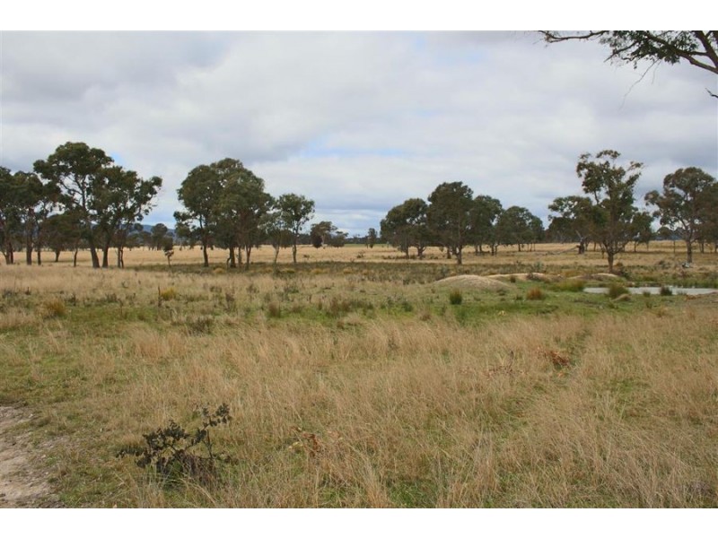 264 Carrot Farm Road, Deepwater NSW 2371