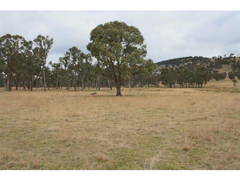 264 Carrot Farm Road, Deepwater NSW 2371