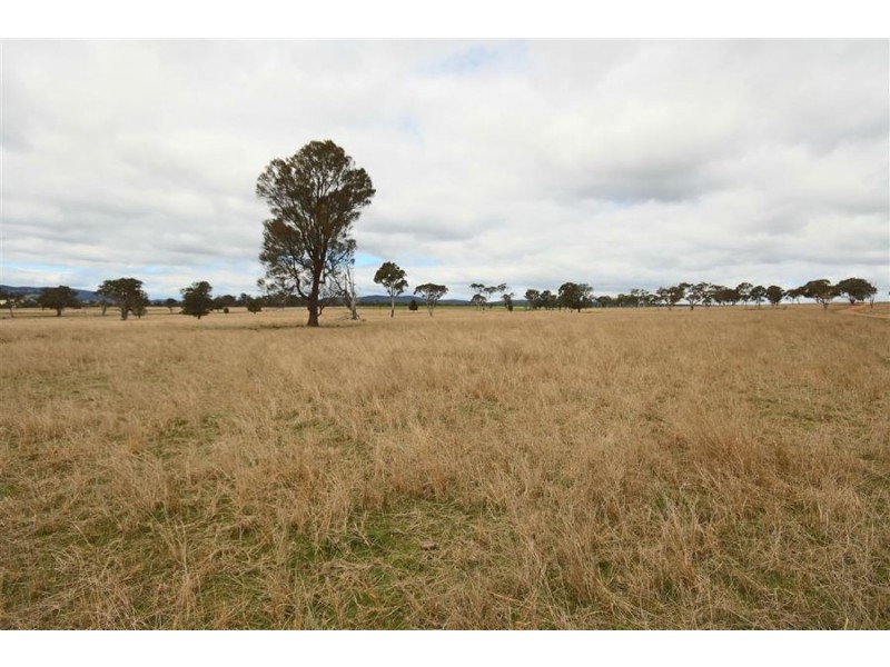 264 Carrot Farm Road, Deepwater NSW 2371