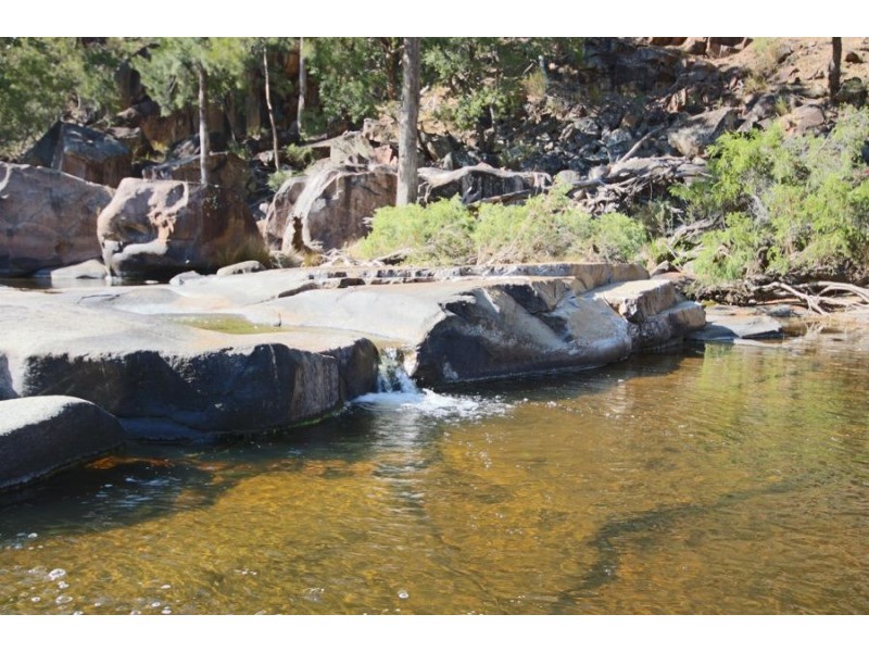 887 Bluff River Road, Tenterfield NSW 2372