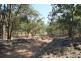 887 Bluff River Road, Tenterfield NSW 2372