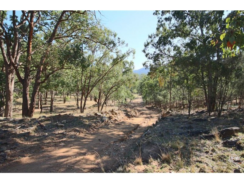 887 Bluff River Road, Tenterfield NSW 2372