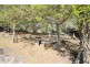 887 Bluff River Road, Tenterfield NSW 2372