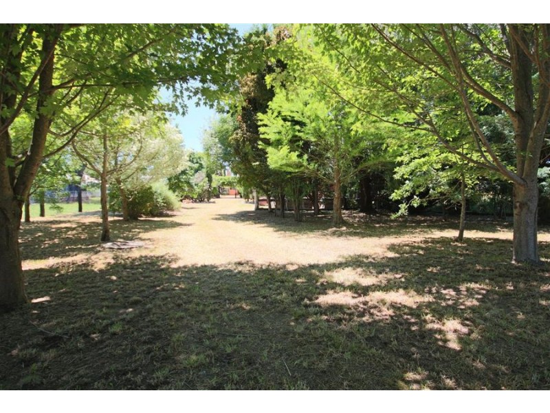 50 Wood Street, Tenterfield NSW 2372
