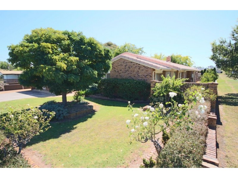 81 Wood Street, Tenterfield NSW 2372