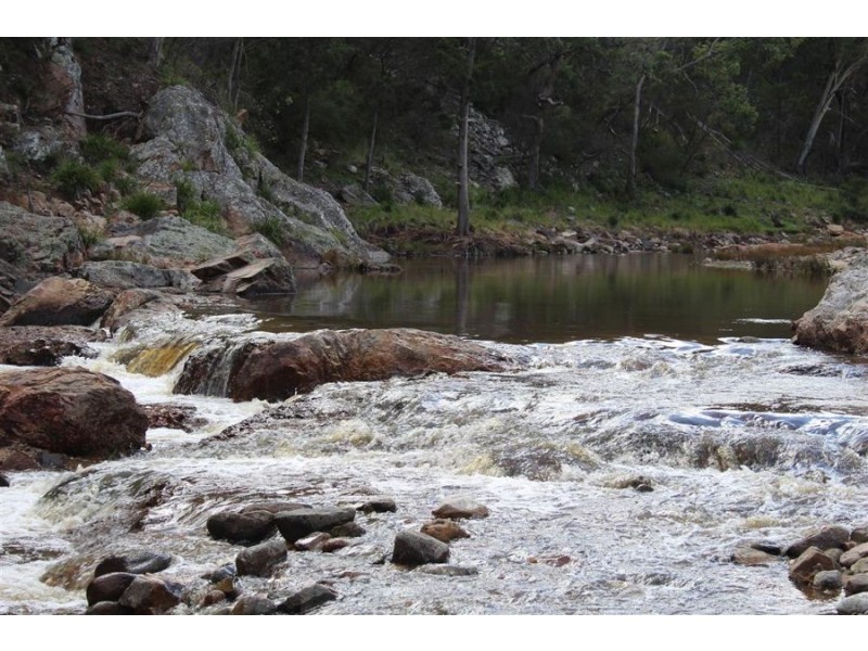 573 Bluff River Road, “Trout Hole”, Tenterfield NSW 2372