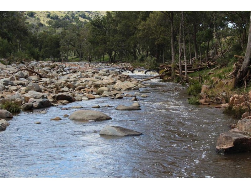 573 Bluff River Road, “Trout Hole”, Tenterfield NSW 2372