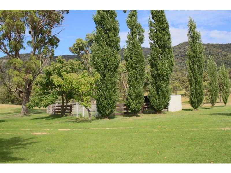 7437 New England Highway, Tenterfield NSW 2372