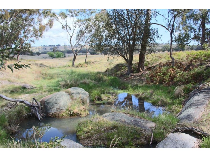 215 Mount Spirabo Road, Tenterfield NSW 2372
