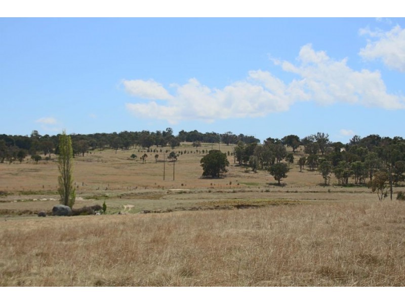 215 Mount Spirabo Road, Tenterfield NSW 2372