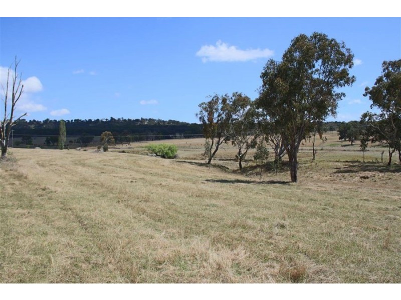 215 Mount Spirabo Road, Tenterfield NSW 2372