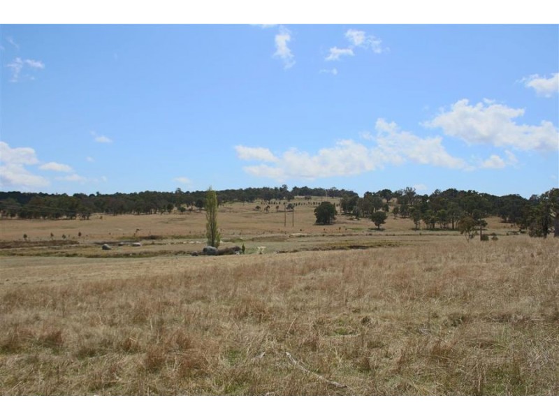 215 Mount Spirabo Road, Tenterfield NSW 2372