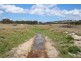 215 Mount Spirabo Road, Tenterfield NSW 2372