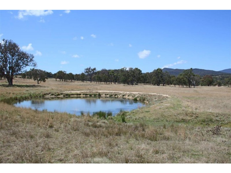 215 Mount Spirabo Road, Tenterfield NSW 2372