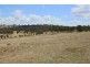 215 Mount Spirabo Road, Tenterfield NSW 2372