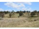 215 Mount Spirabo Road, Tenterfield NSW 2372