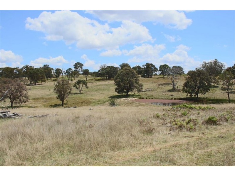 215 Mount Spirabo Road, Tenterfield NSW 2372