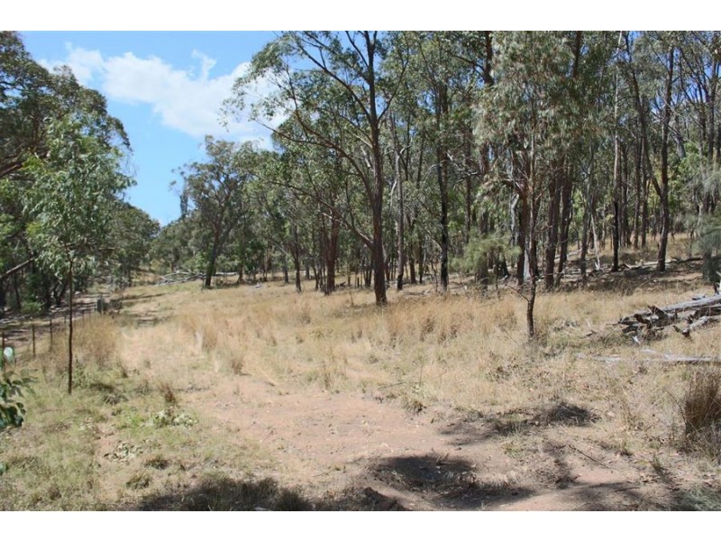 215 Mount Spirabo Road, Tenterfield NSW 2372