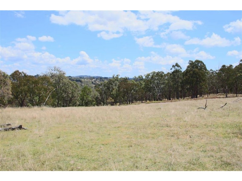 215 Mount Spirabo Road, Tenterfield NSW 2372
