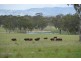 306 Geyers Road, Tenterfield NSW 2372