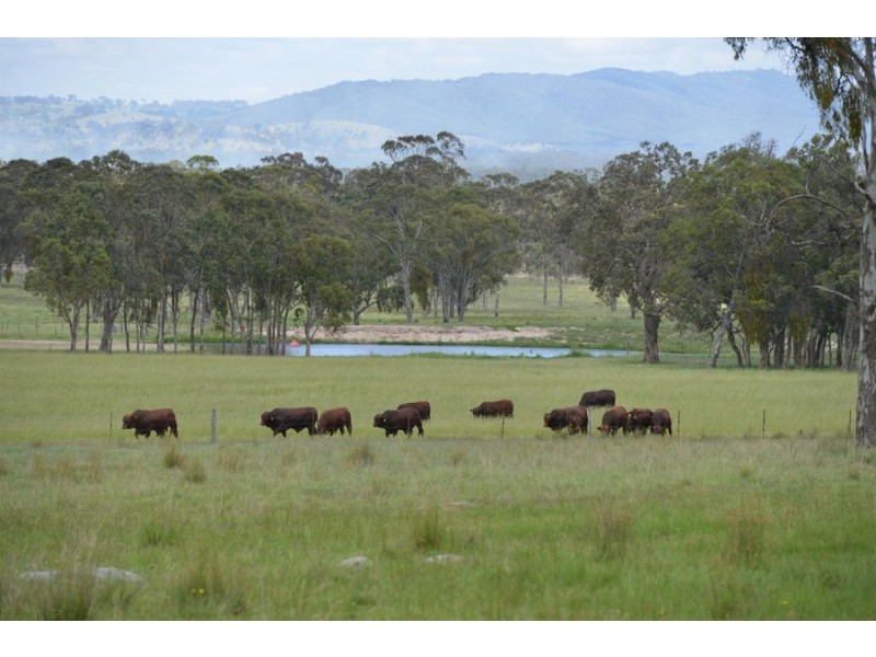 306 Geyers Road, Tenterfield NSW 2372
