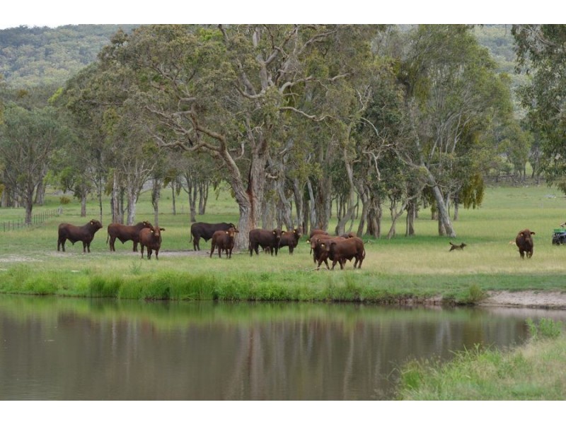 306 Geyers Road, Tenterfield NSW 2372
