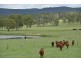 306 Geyers Road, Tenterfield NSW 2372