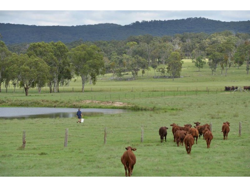 306 Geyers Road, Tenterfield NSW 2372