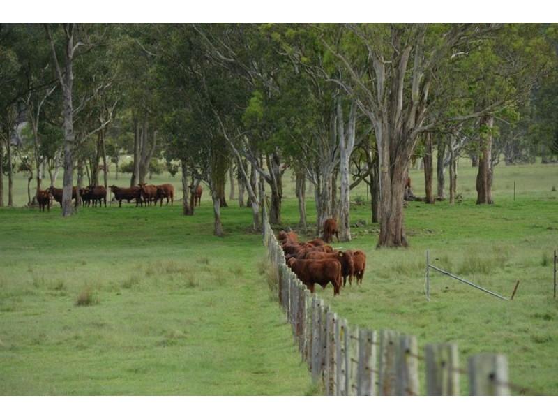 306 Geyers Road, Tenterfield NSW 2372