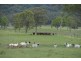 306 Geyers Road, Tenterfield NSW 2372