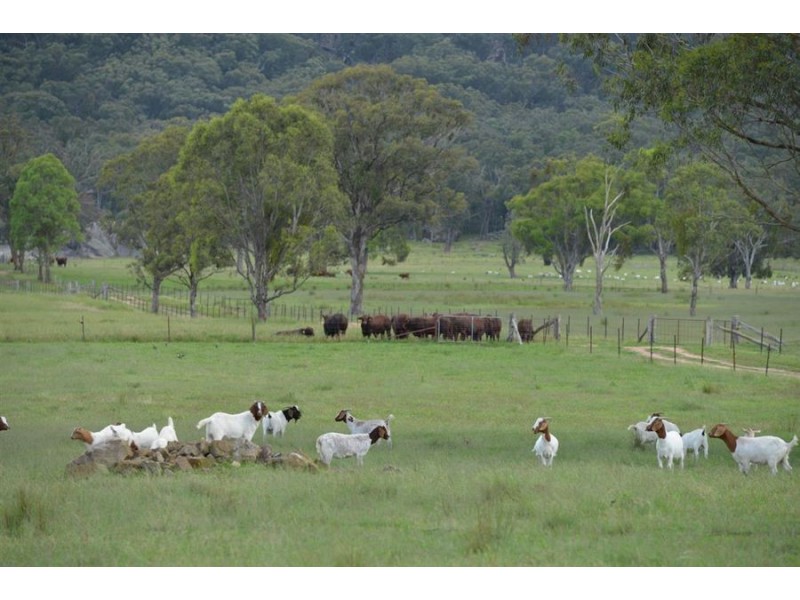 306 Geyers Road, Tenterfield NSW 2372