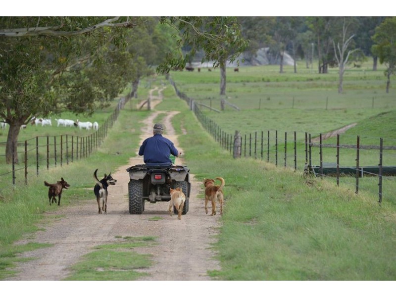 306 Geyers Road, Tenterfield NSW 2372