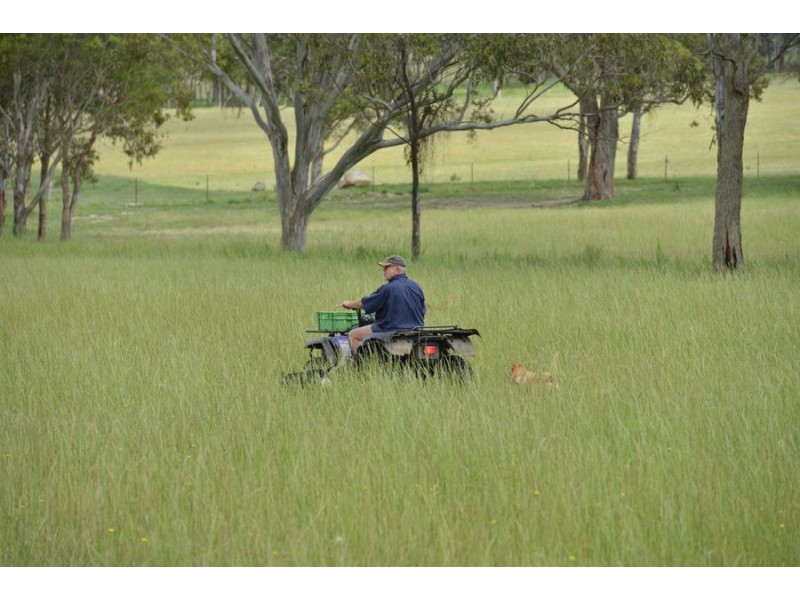 306 Geyers Road, Tenterfield NSW 2372