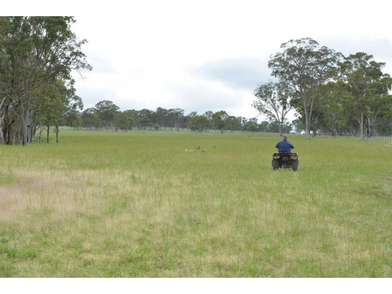 306 Geyers Road, Tenterfield NSW 2372