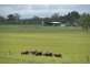 306 Geyers Road, Tenterfield NSW 2372