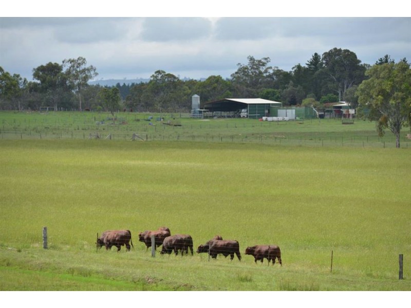 306 Geyers Road, Tenterfield NSW 2372