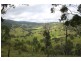 10201 Bruxner Highway, Tenterfield NSW 2372