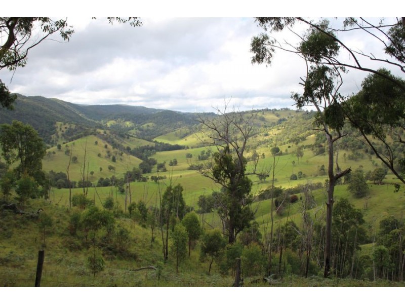 10201 Bruxner Highway, Tenterfield NSW 2372