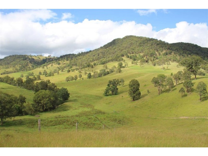 10201 Bruxner Highway, Tenterfield NSW 2372