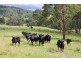 10201 Bruxner Highway, Tenterfield NSW 2372